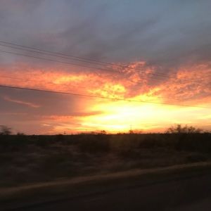 Meet your Posher, Connie